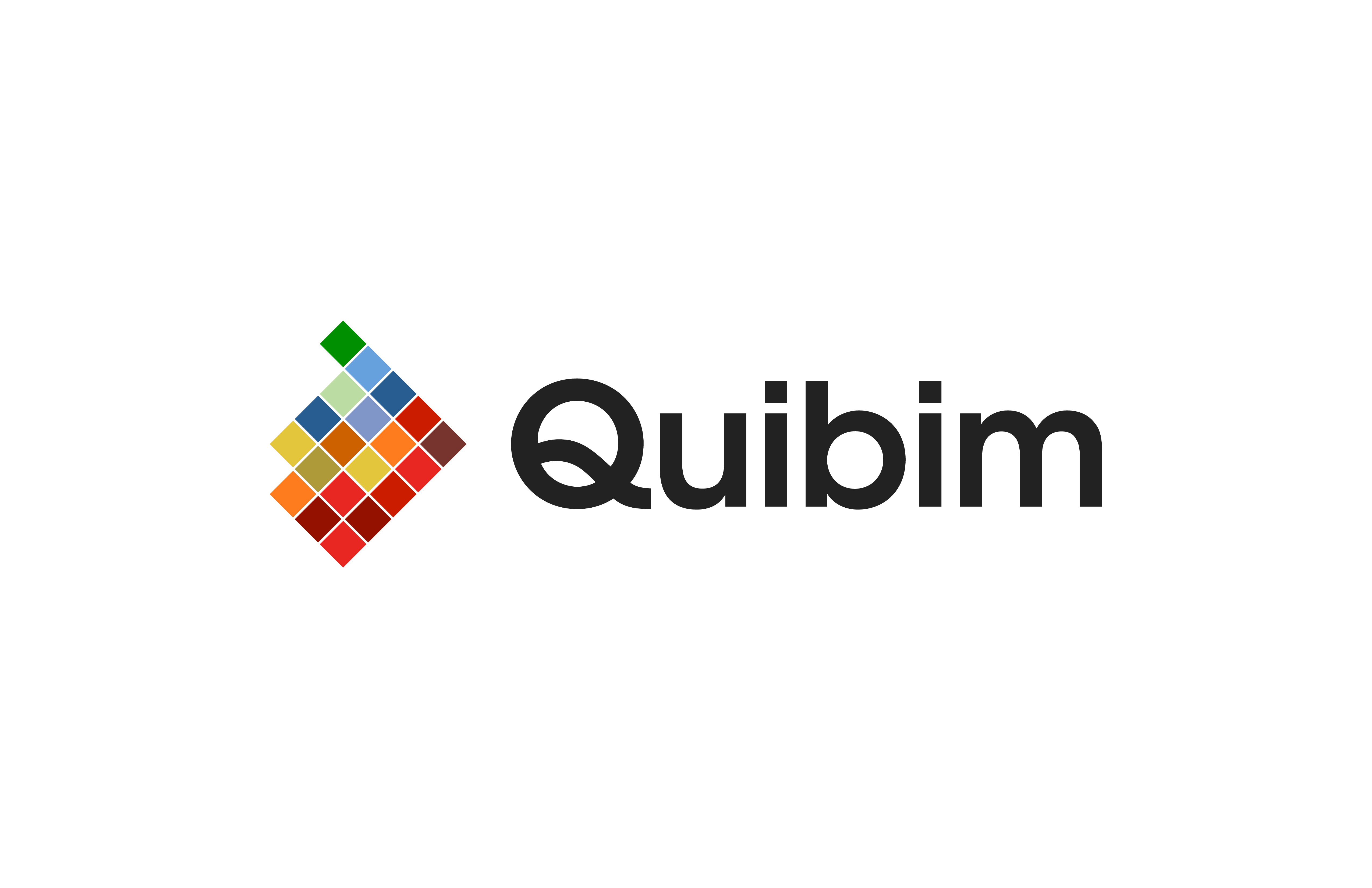 Logo Quibim