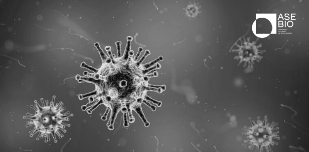 La biotecnología lidera la lucha frente el coronavirus 