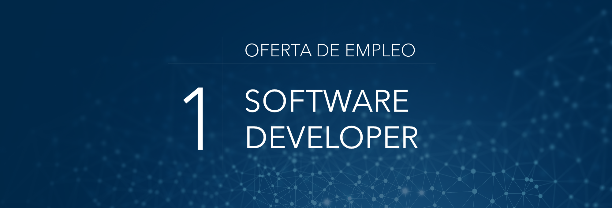 Oferta Software Developer