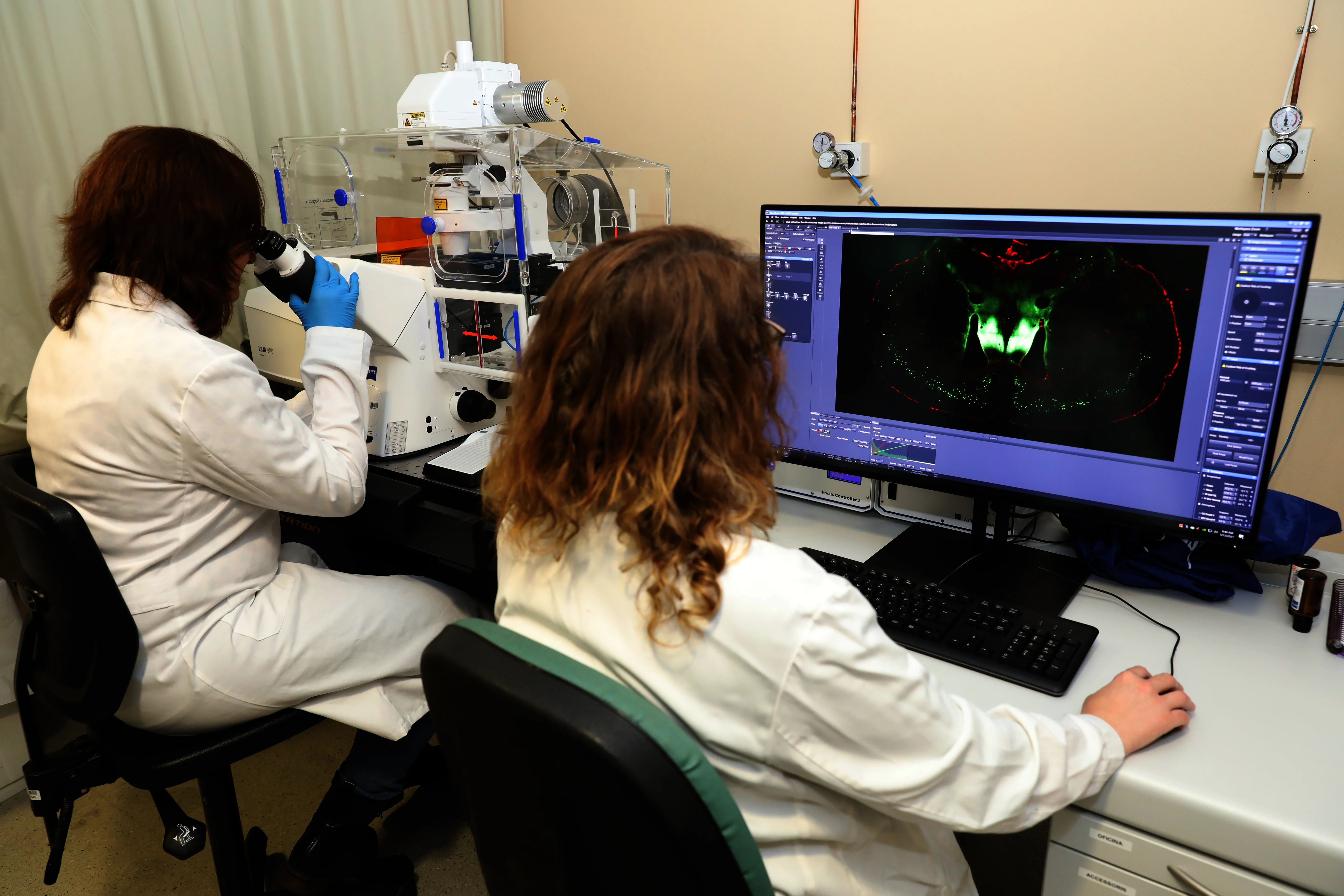 lab vall dhebron