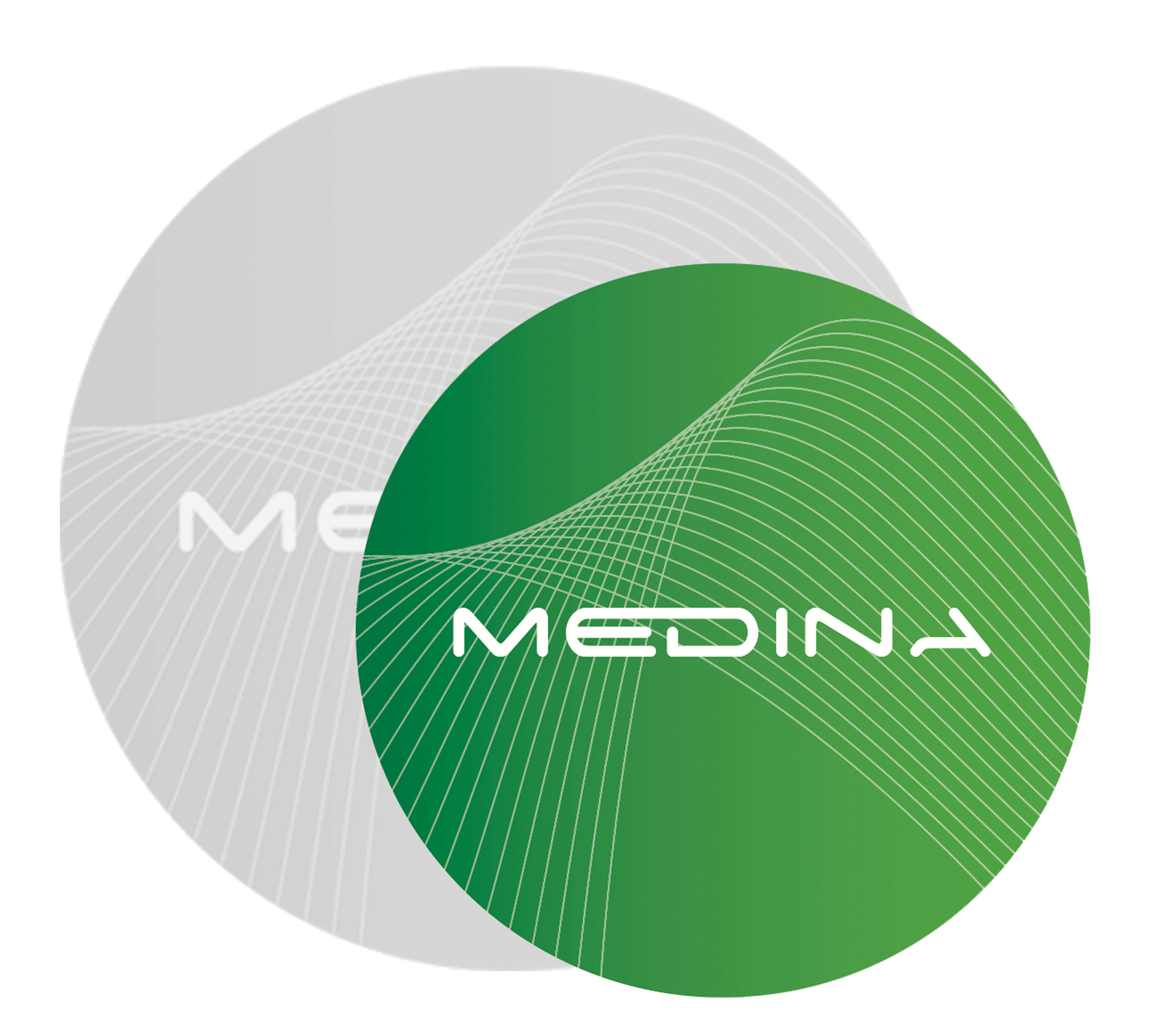 Fundación Medina.jpg